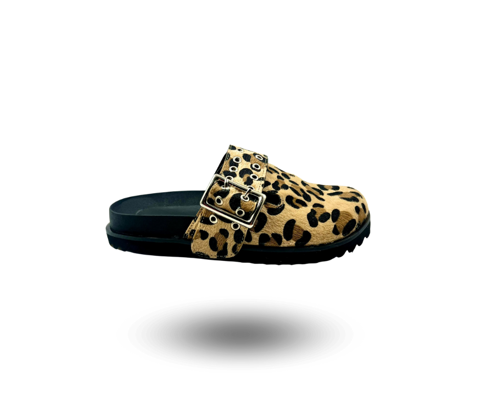 Dakar Leopard